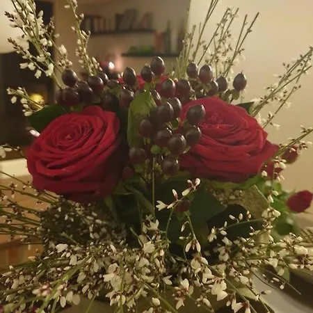 Experience The Loft! Loft 18, Downtown, Near The Free Parking Available Lugano