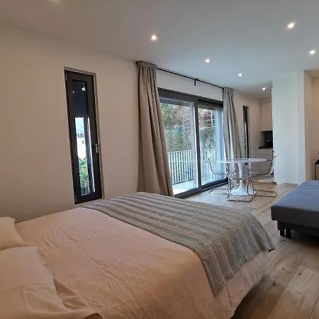 Experience The Loft! Loft 18, Downtown, Near The Free Parking Available Apartment *